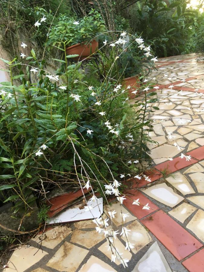 La Siguine Villa Gourbeyre Dış mekan fotoğraf