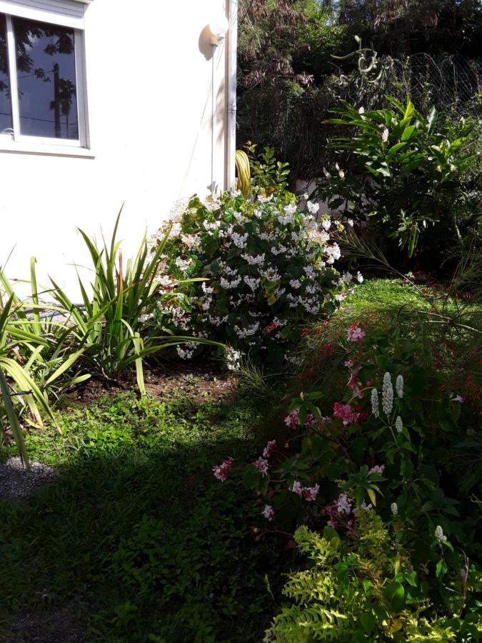 La Siguine Villa Gourbeyre Dış mekan fotoğraf